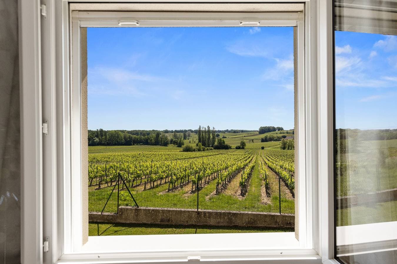 Foto 11 von 21: Im Herzen der Weinberge: Stilvolle, entspannende Auszeit mit Klimaanlage