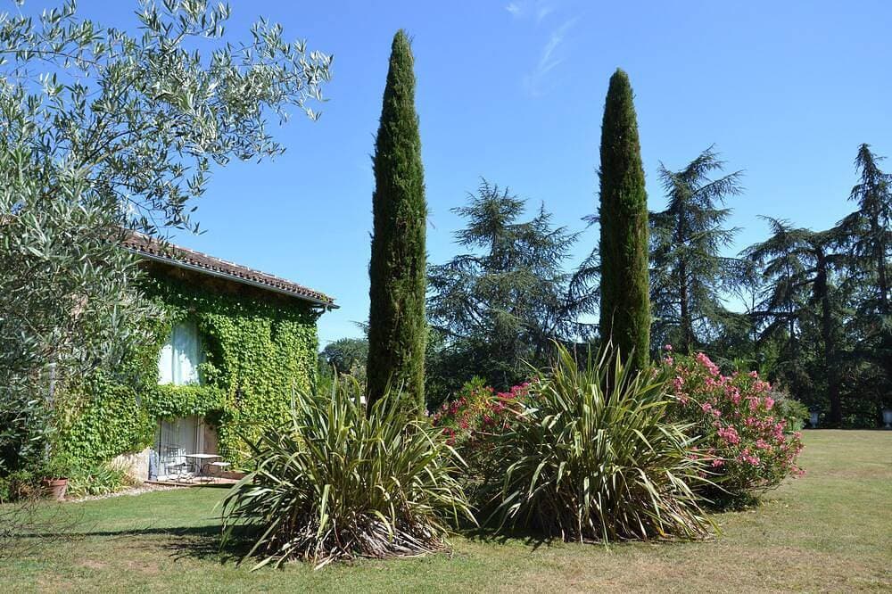 Anwesen / Landgut - Labastide De Levis 1