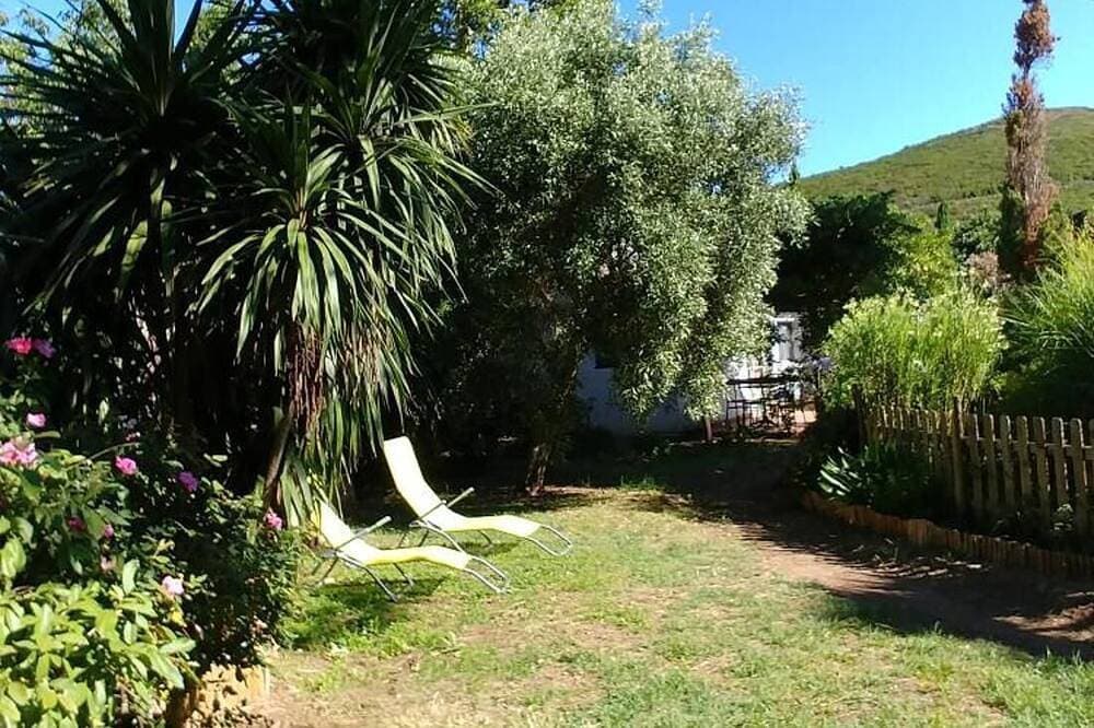 Foto 4 von 13: In Teppa, Grevillea, Loft
