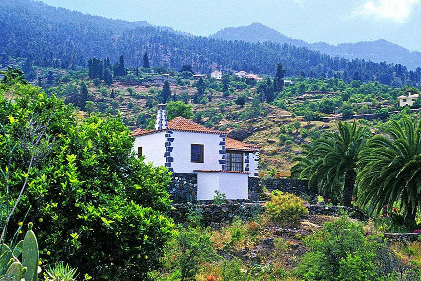 Foto 3 von 16: Casa Tota