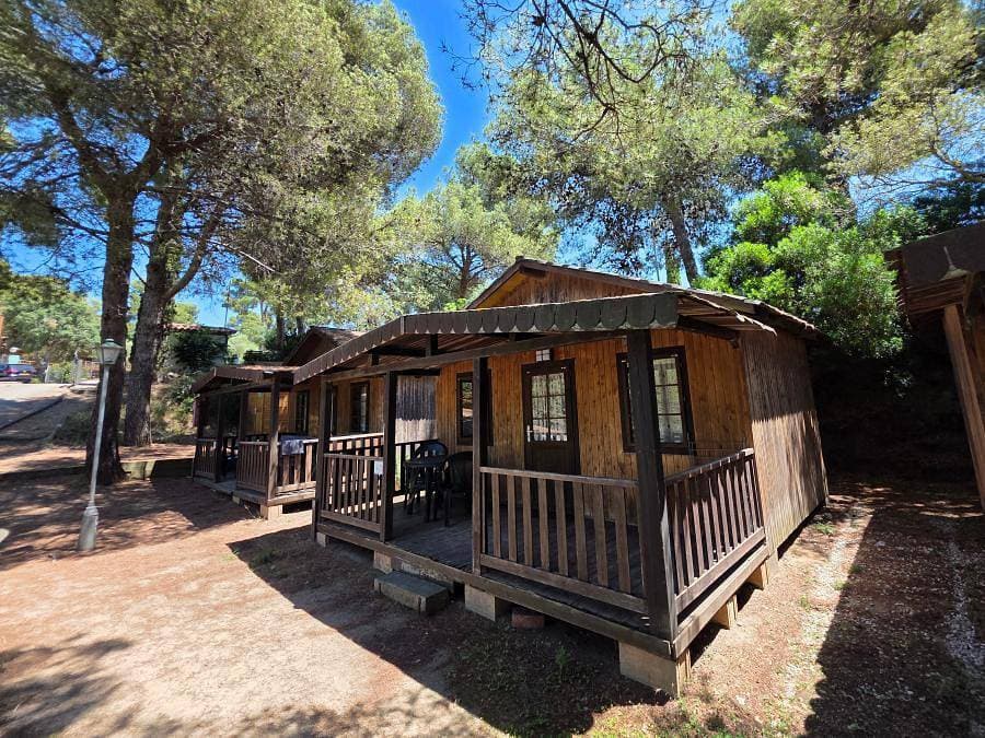 Foto 10 von 83: Camping Cala Llevado - Sea Green By Sunêlia - Chalet 2 personen - Low Cost 1 Zimmer ohne Sanitäranlagen