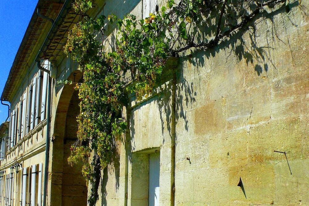 Foto 12 von 30: Französisch Bauernhaus in der Nähe von St Emilion 1860 erbaut mit dem Charme der Weinberge