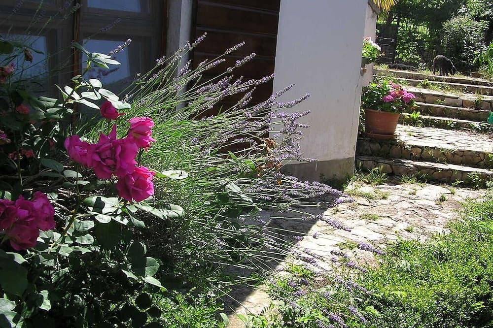 Apartment Motovun 1 komfortabel, geräumig, Garten, Terrasse. Aussicht, Parkplatz 1