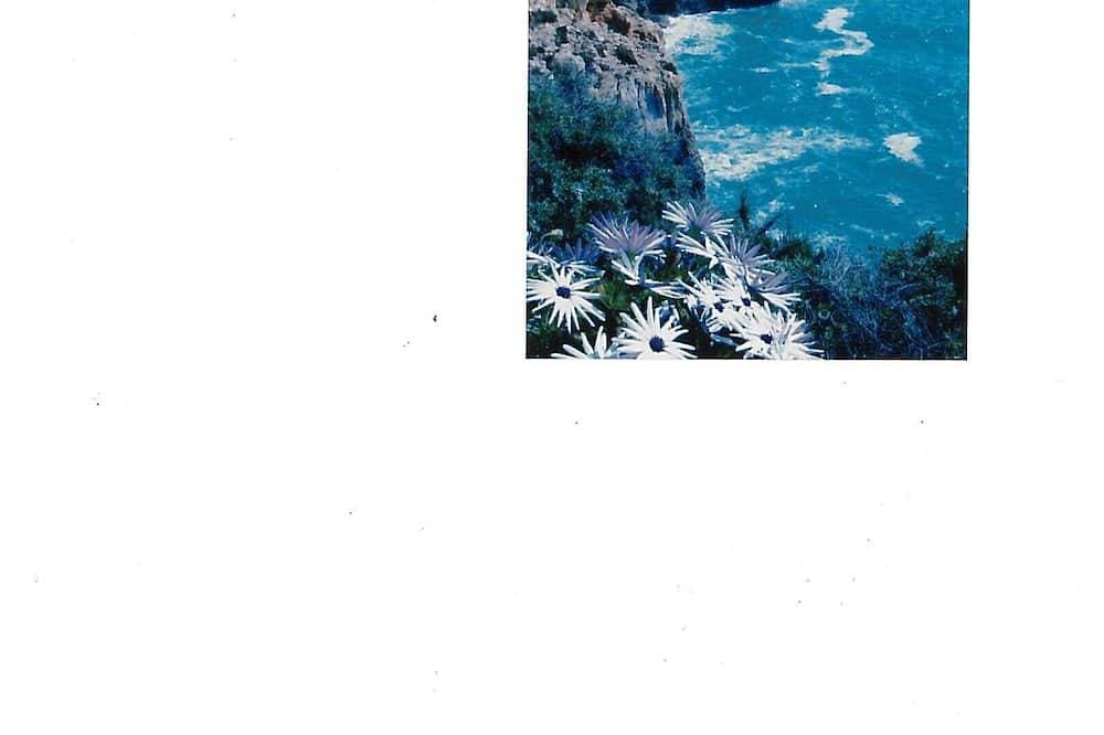 Foto 7 von 10: Im Herzen der Orangenbäume der Algarve zwischen Strand und Landschaft