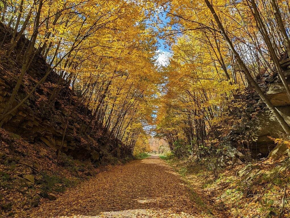 Foto 4 von 20: Aufenthalt in Ohiopyle, Whirlpool & Billardtisch - Nächster zum Gap Trail