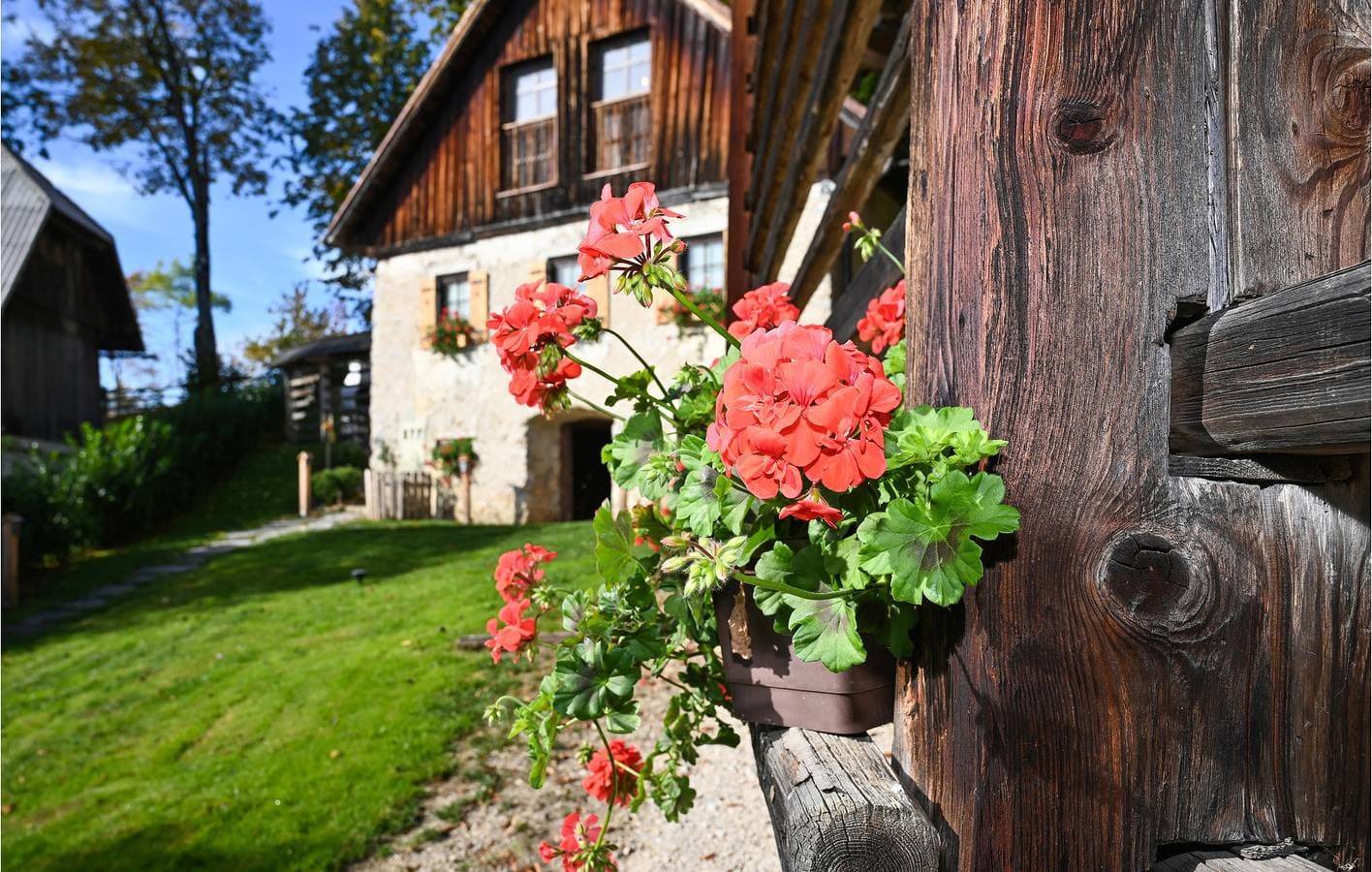 Foto 9 von 17: Ferienwohnung für 4 Personen mit Garten