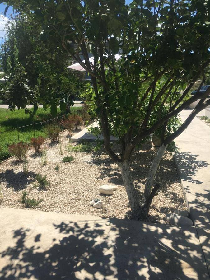 Foto 4 von 16: Apartment - Ground Floor