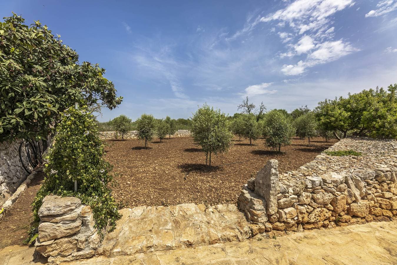 Foto 12 von 47: Finca Son Ramon Llull