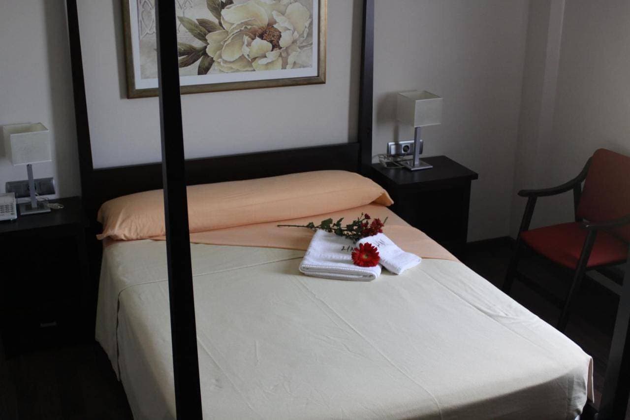 Hotel MINERVA 1