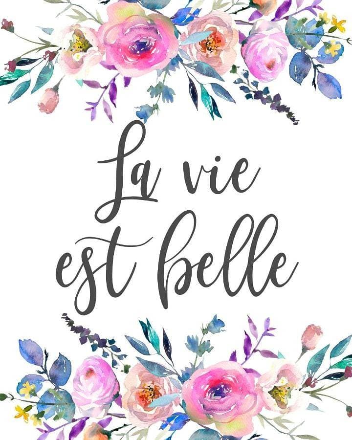 La vie est belle 1