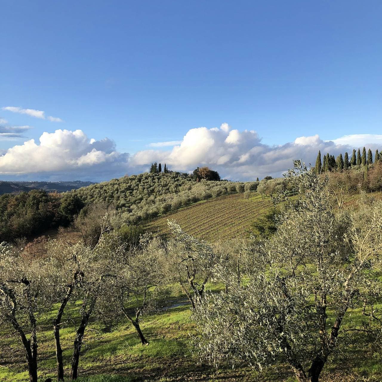 Foto 4 von 15: Bio-Cottage zwischen Florenz und Siena