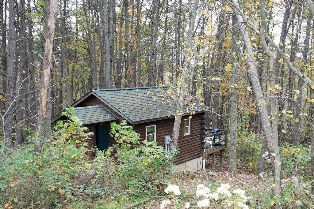 Foto 12 von 13: Kabine-Eigenes Badezimmer-Standard-Sweet Dreams Cabin