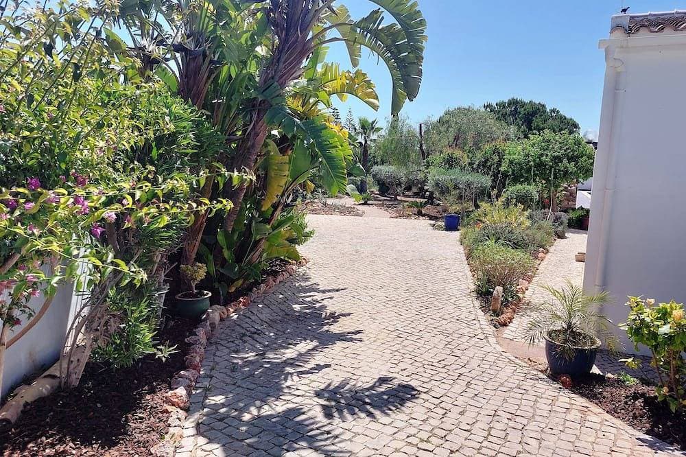 Foto 8 von 30: Haus am Hang, Meerblick, privater Pool, großer angelegter Garten