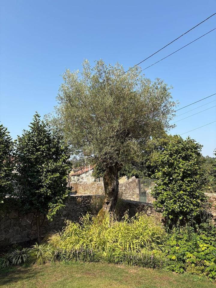 Foto 13 von 77: Villa