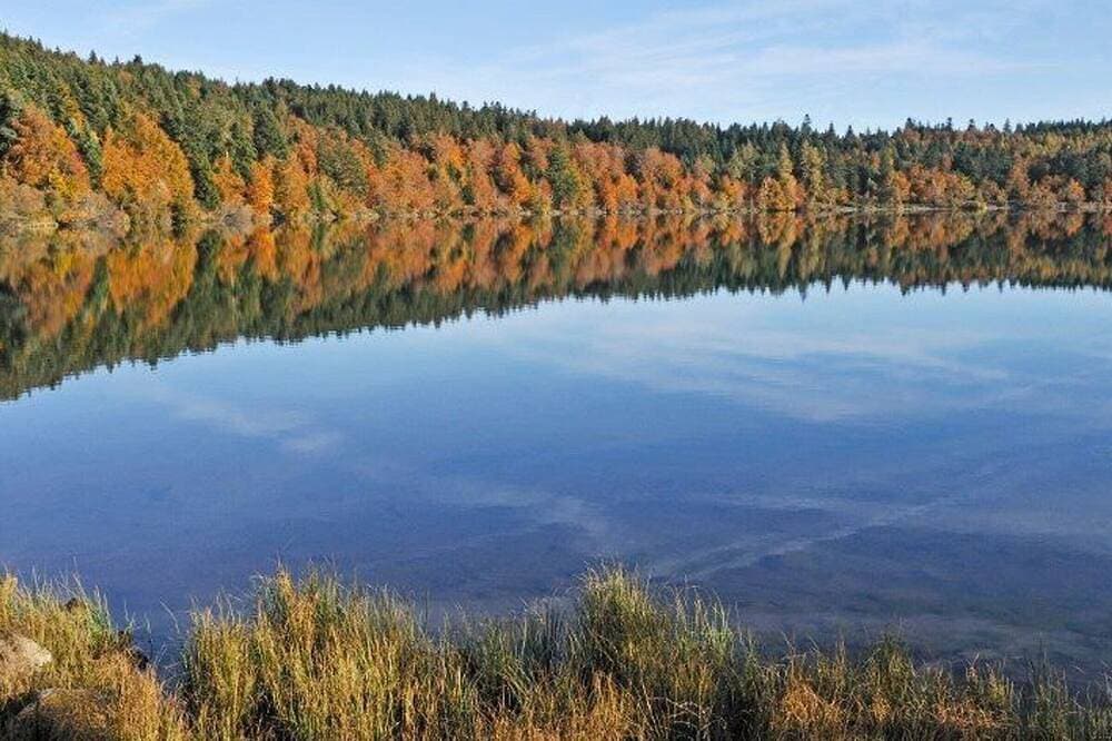 Foto 13 von 18: Gemütliches Ferienhaus in der Nähe von Puy-en-Velay, ideal für Naturliebhaber
