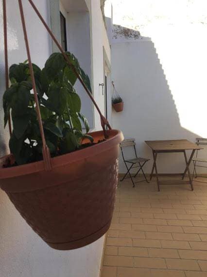 Foto 3 von 17: Casa da Madrinha