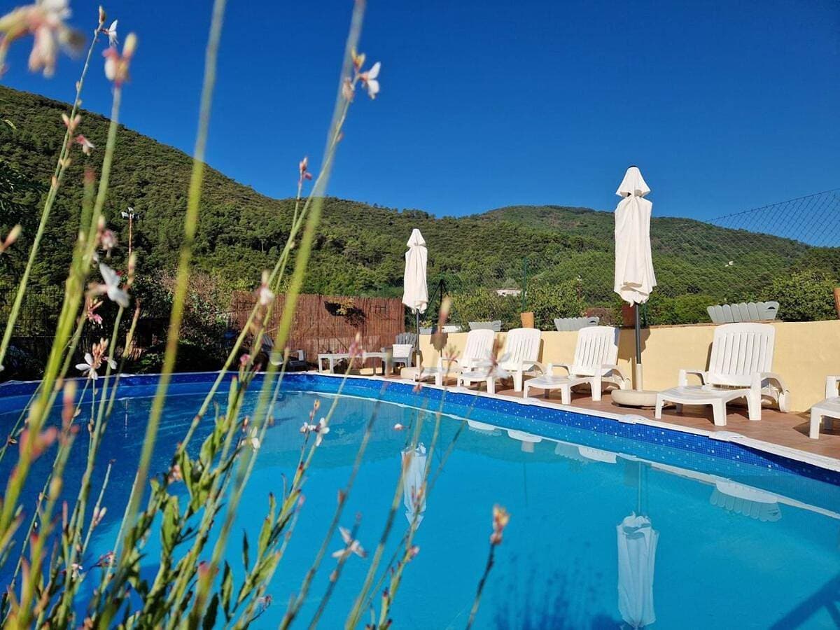Le Mas Joyeux - L'Olivier - Gîte En Cévennes 1