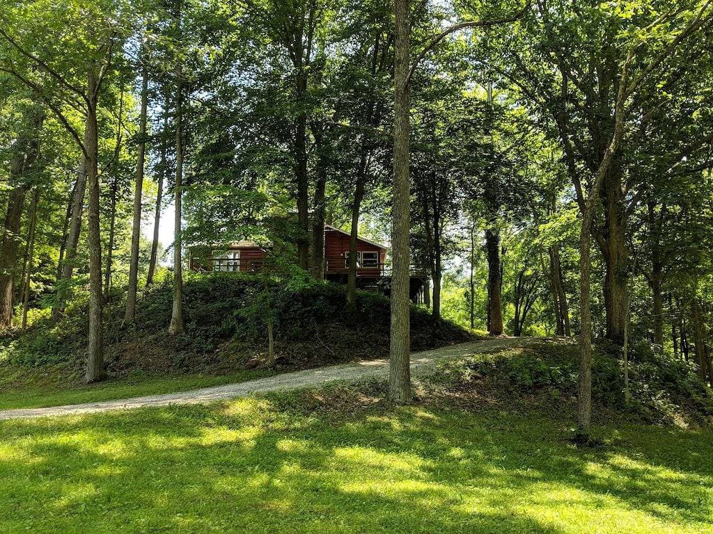 Foto 6 von 23: Unsere Creekside-Hütte liegt tief im Landesinneren in einer abgelegenen Gasse.