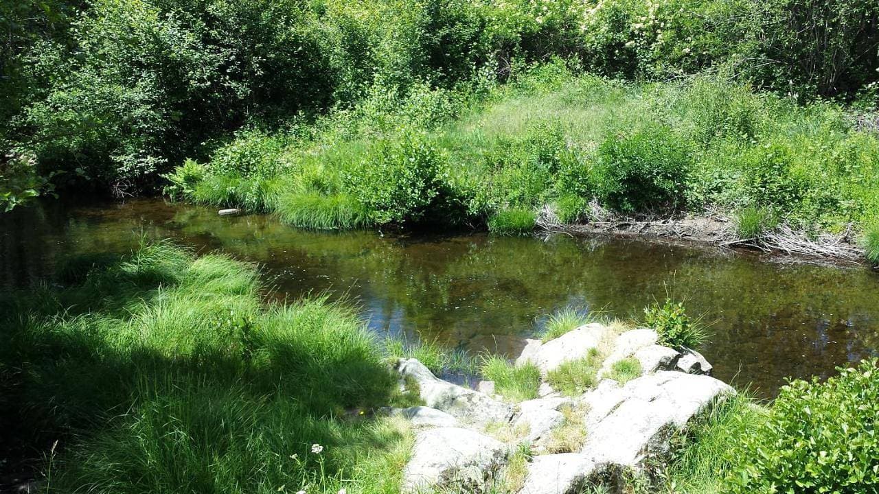 Foto 13 von 44: Holiday Home