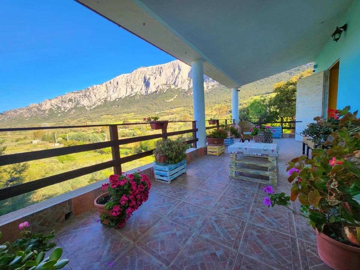 Panoramic House 1