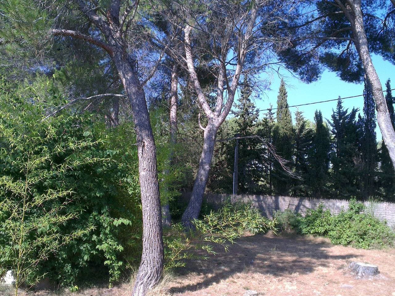 Foto 13 von 49: La petite maison sous les pinins-innenpool