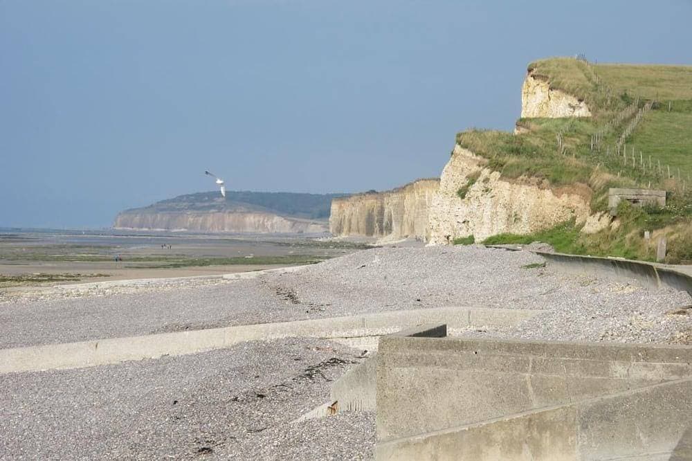 Foto 12 von 18: Rose - Bourg Dun