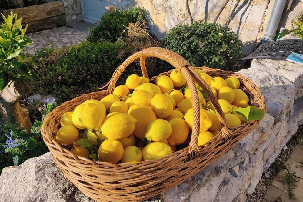 Foto 11 von 22: Provenzalische Wohnung in der Nähe von Saint-Paul de Vence