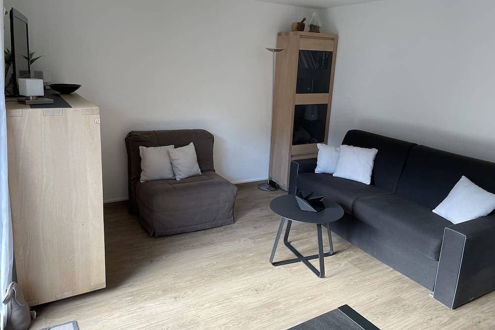 Studio 21m²- 2* - city center- wifi - balcony - private parking - linen included 1