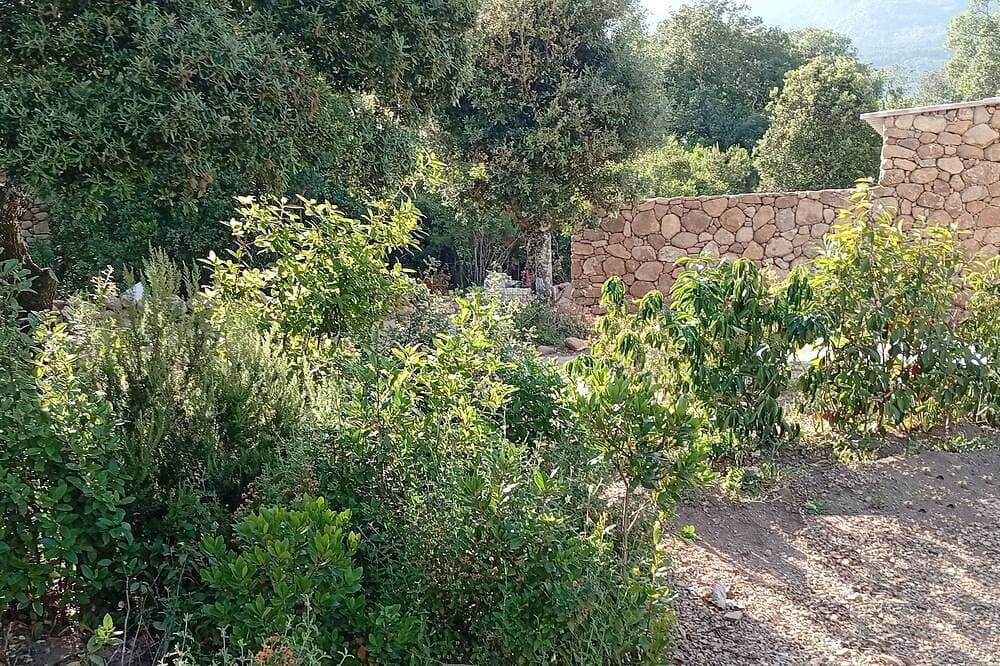 Foto 6 von 12: Bed and breakfast in southern Corsica near dream beaches