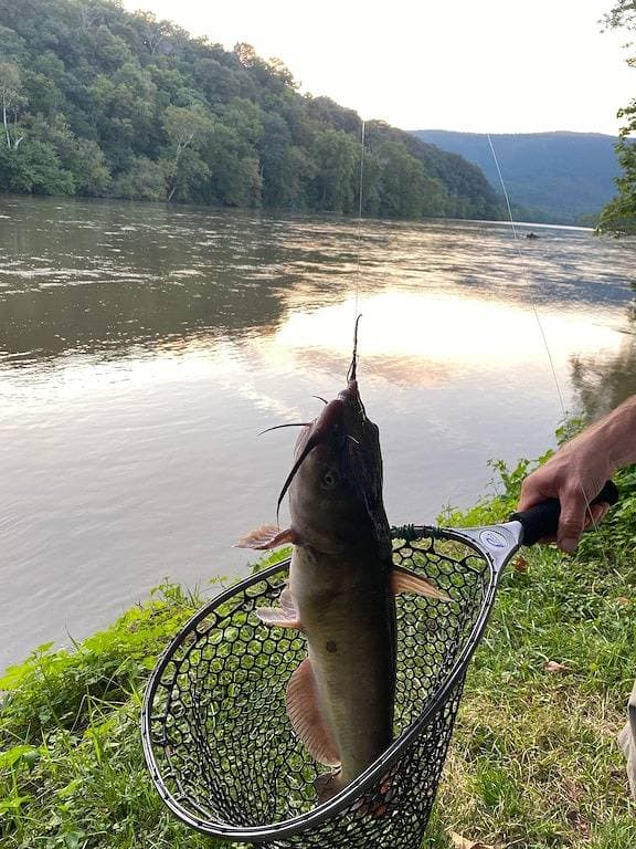 Cozy 2Br Riverfront Cabin w / Gorgeous Views, Whirlpool, auf 47 Hektar 1