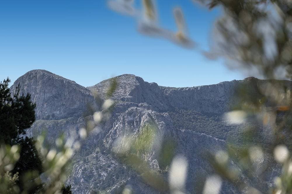 Foto 13 von 27: Ca's Missatge, a perfect place with mountain scenery for your relaxing holiday.