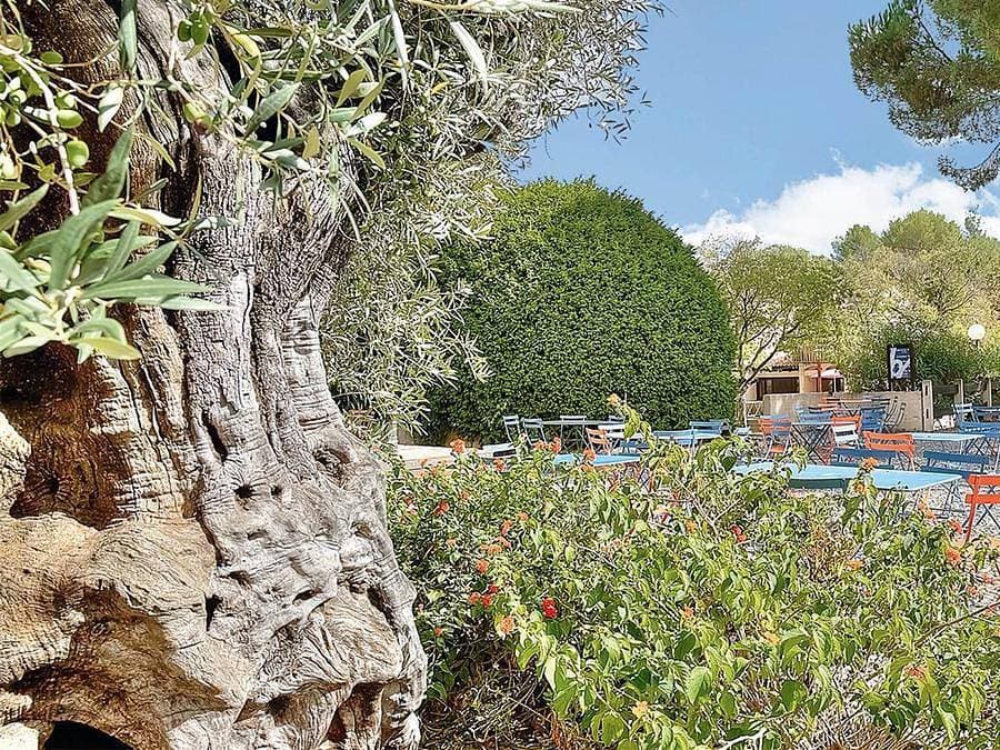 Club Belambra Les Terrasses de St Paul-de-Vence - Studio 2 personen - Essentiel Studio für 2 Persone... 1