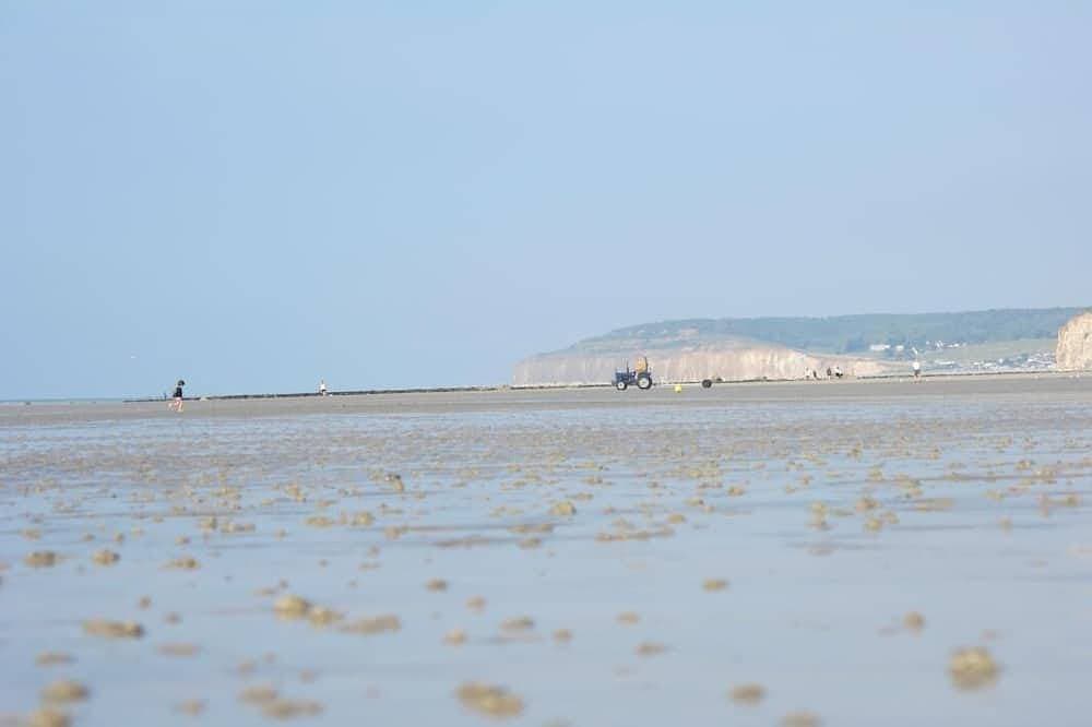 Foto 13 von 18: Rose - Bourg Dun