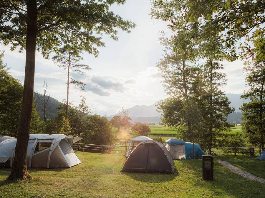 Foto 6 von 81: Forest Camping Mozirje - Unterkunft 3 personen - Glamping Hut Forest Bed