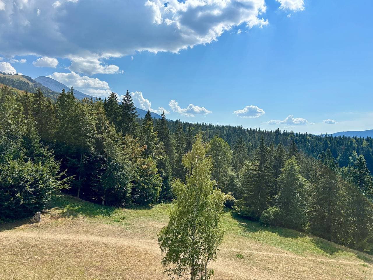 Foto 6 von 13: Charmantes Studio direkt an der Piste in Villard-de-Lans