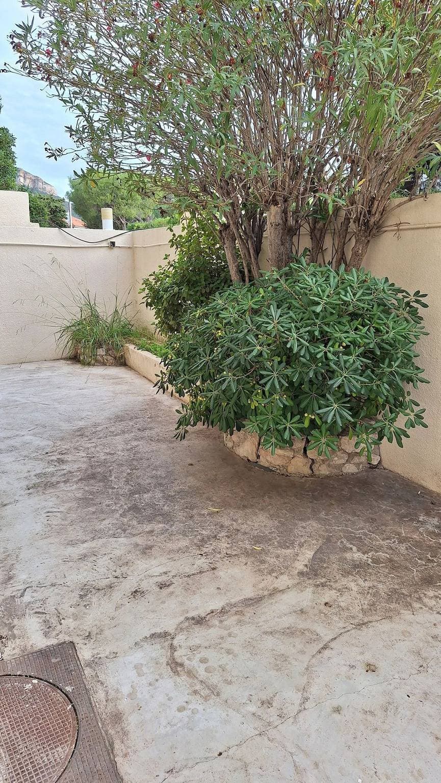Foto 9 von 12: Studio in Cassis 34 m² mit Garten