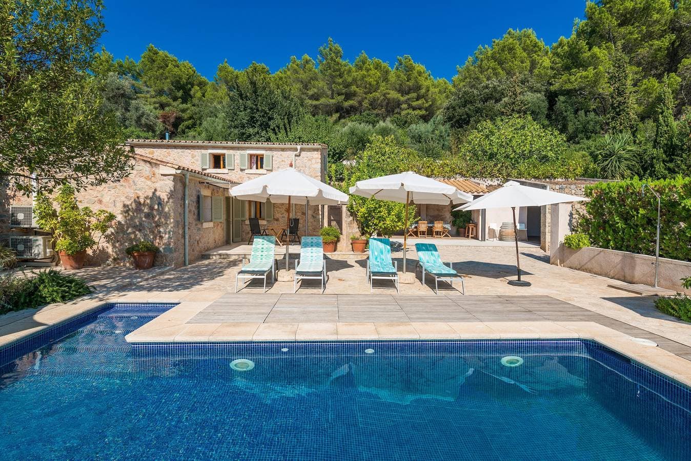 Finca Coster 1