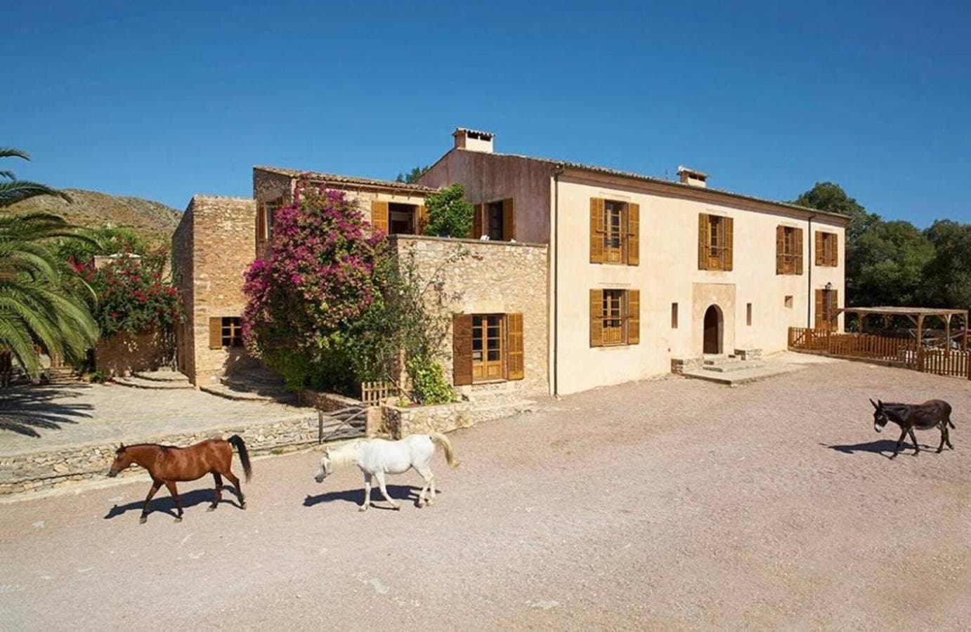 Foto 4 von 24: Finca 'Sa Mesquida De D'alt' mit Meerblick, privatem Pool und Wi-Fi