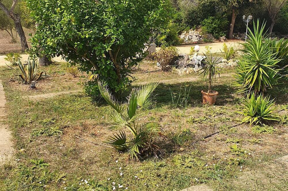 Foto 7 von 30: Rustikales Haus mit 2 Schlafzimmern privatem Pool Grill in ruhiger Lage