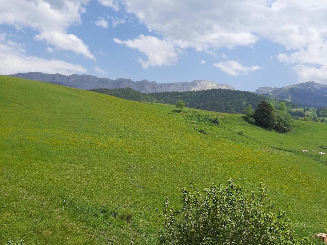 Foto 11 von 12: Studio-Kabine mit Balkon, Bergblick nahe Dorfzentrum
