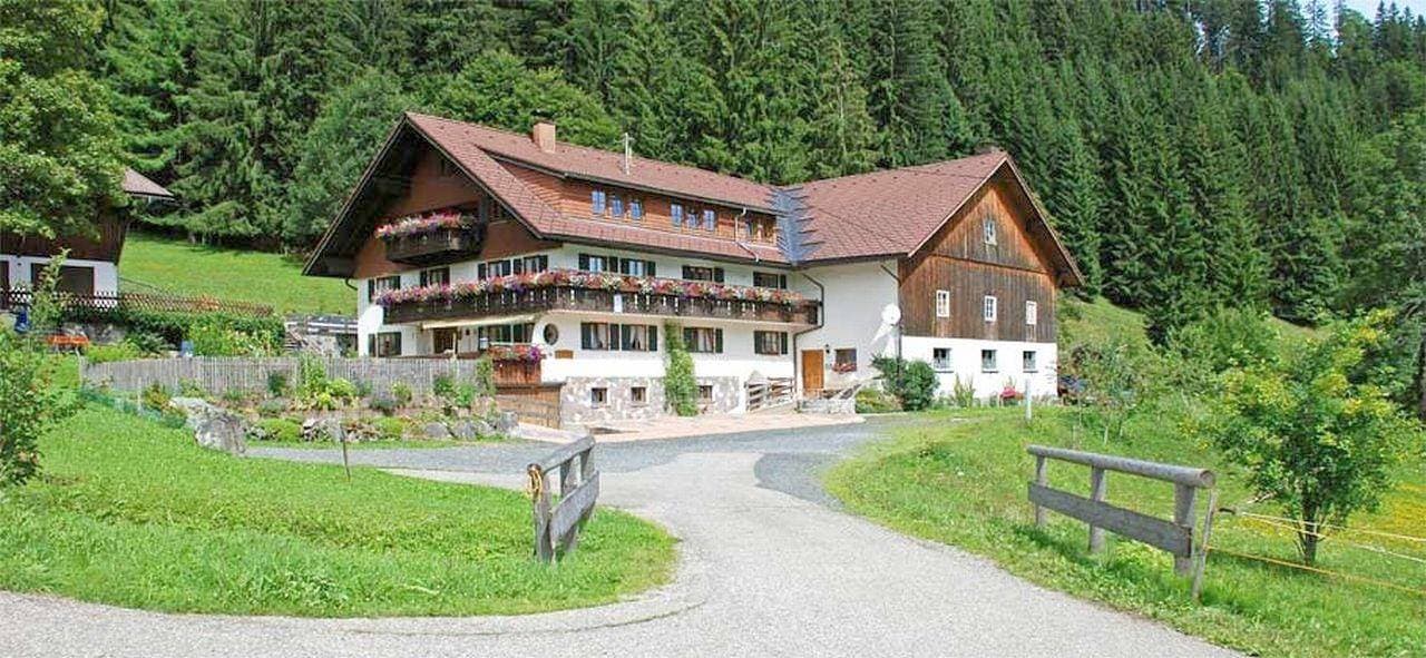 Foto 3 von 25: Lärchenblick