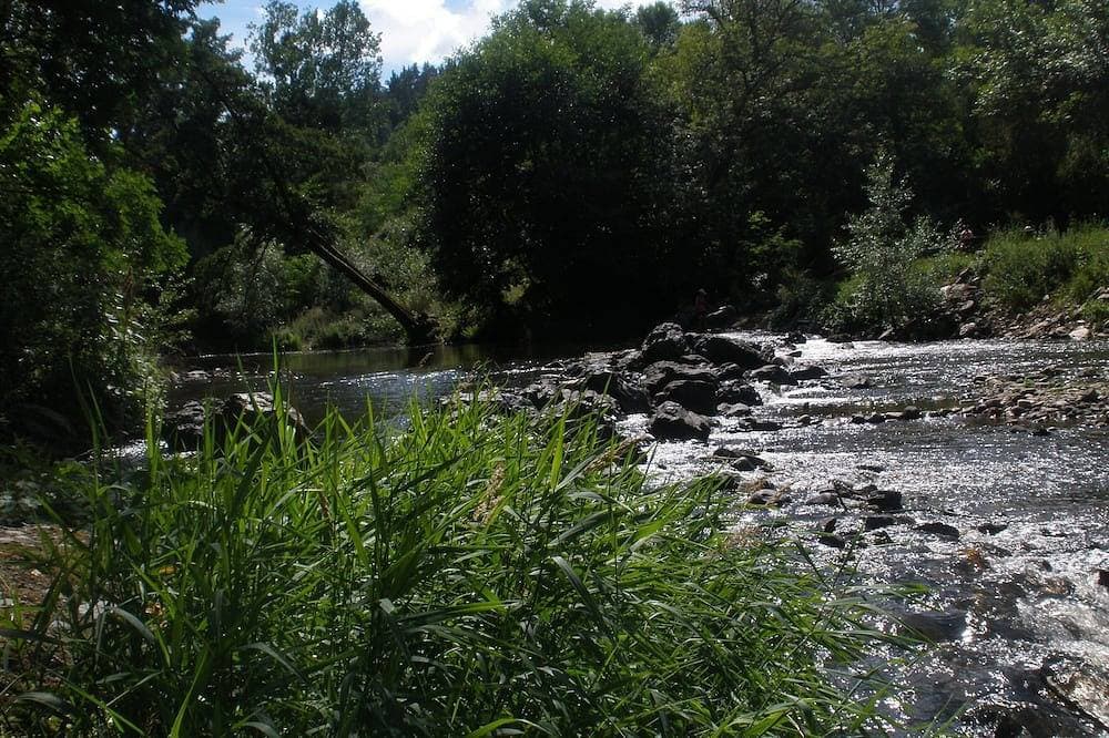 Foto 12 von 30: 4-Sterne Unterkunft in kleinem Dorf der Auvergne auf dem Land