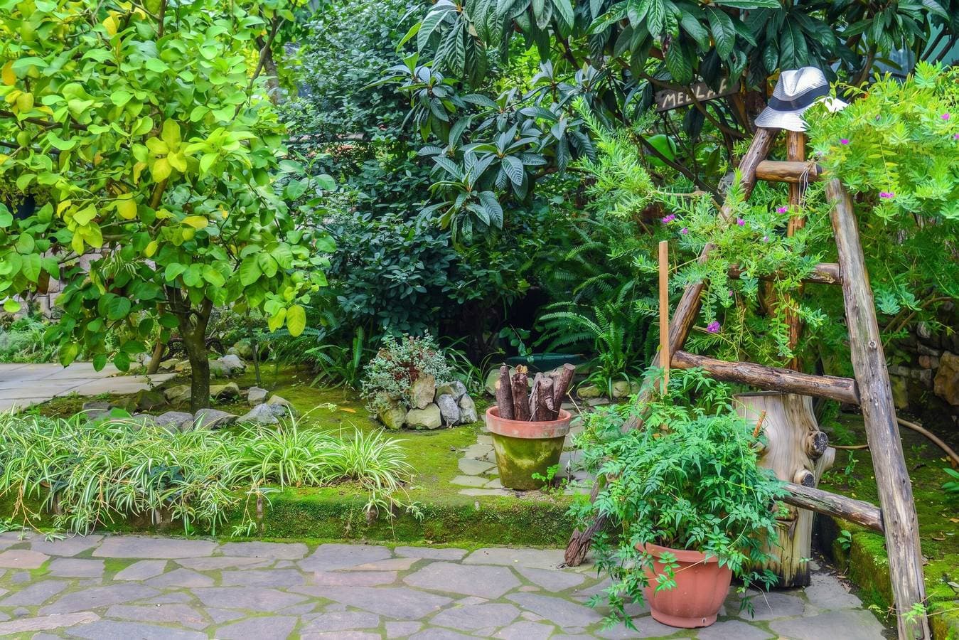 Foto 4 von 12: Charmantes Studio mit Meerblick in Sorrento - 35 qm + Terrasse