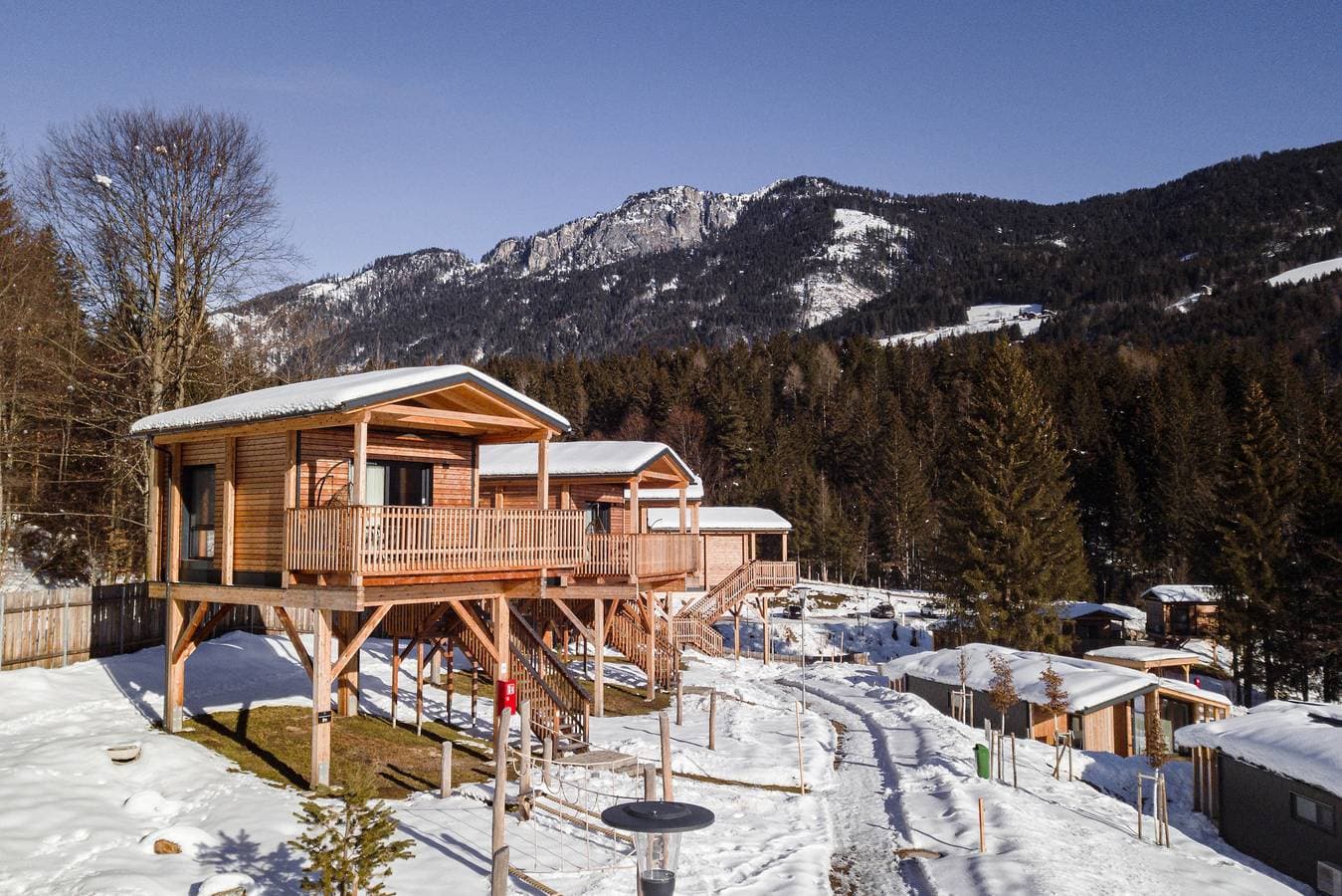 Premium Baumhaus mit 1 Schlafzimmer 1