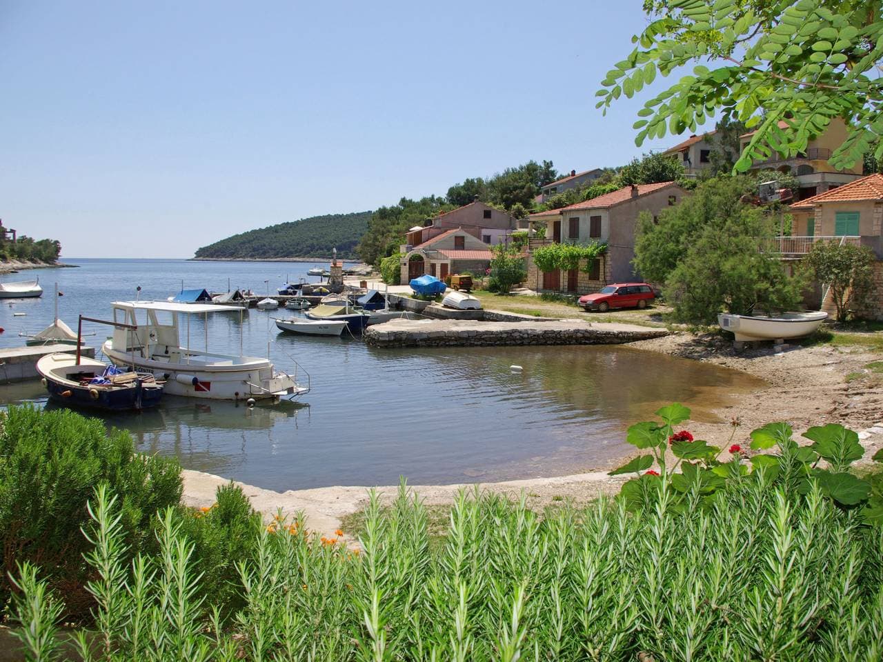 Foto 2 von 11: Šarenko