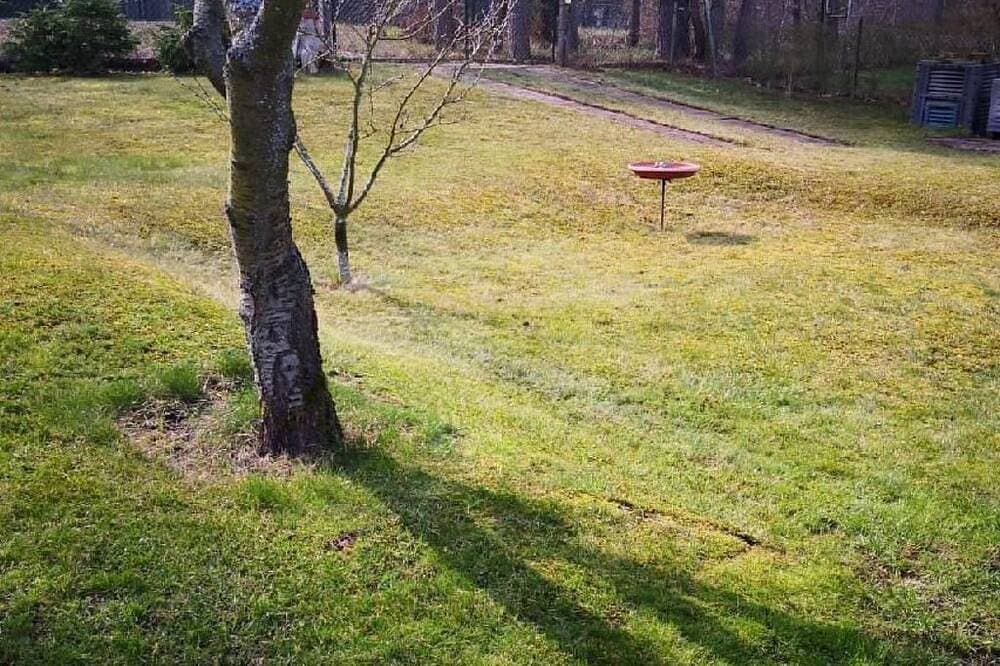 Foto 13 von 29: Am Haff