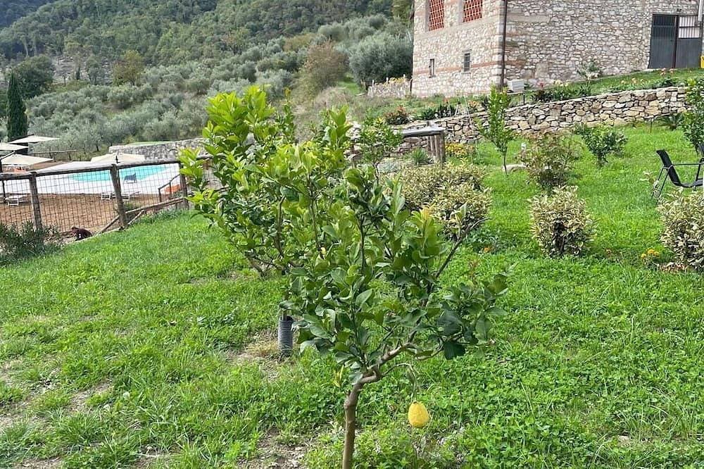 Foto 9 von 17: Urlaub auf dem Land in Barberino Di Mugello mit 2 Schlafzimmern 4 Schlafplätzen