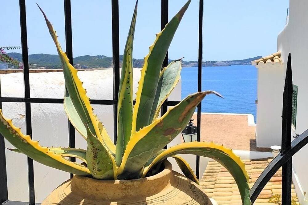 Foto 10 von 30: Ferienwohnung mit Meerblick für 2 Personen in Cala Fornells