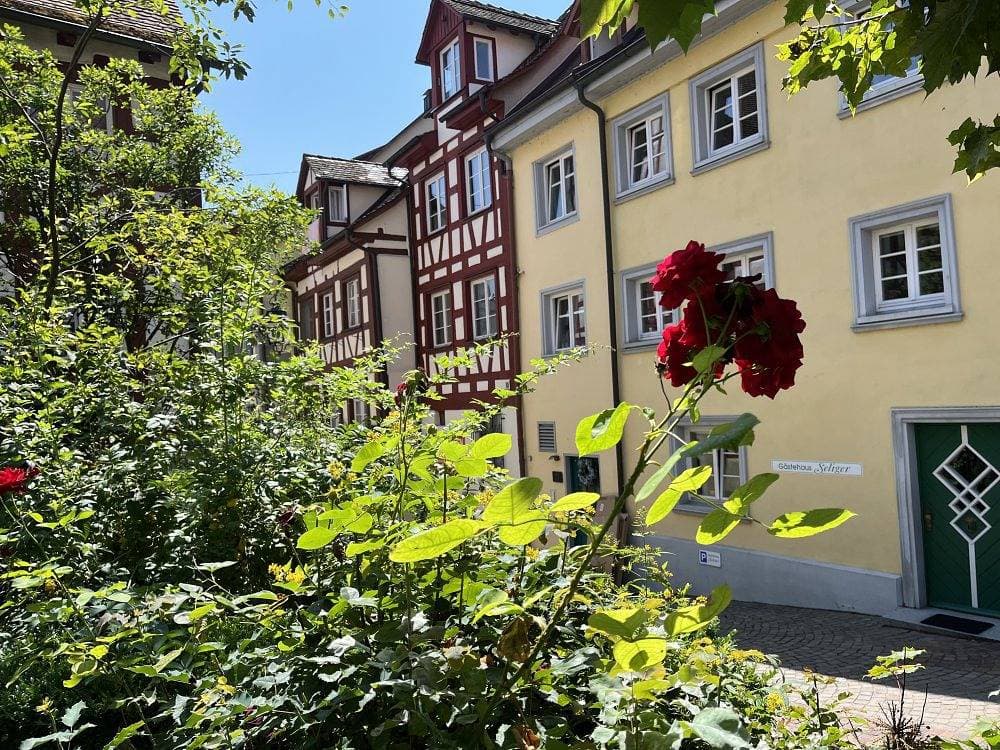 Mainaublick-TraumSeesicht mit Terrasse 1