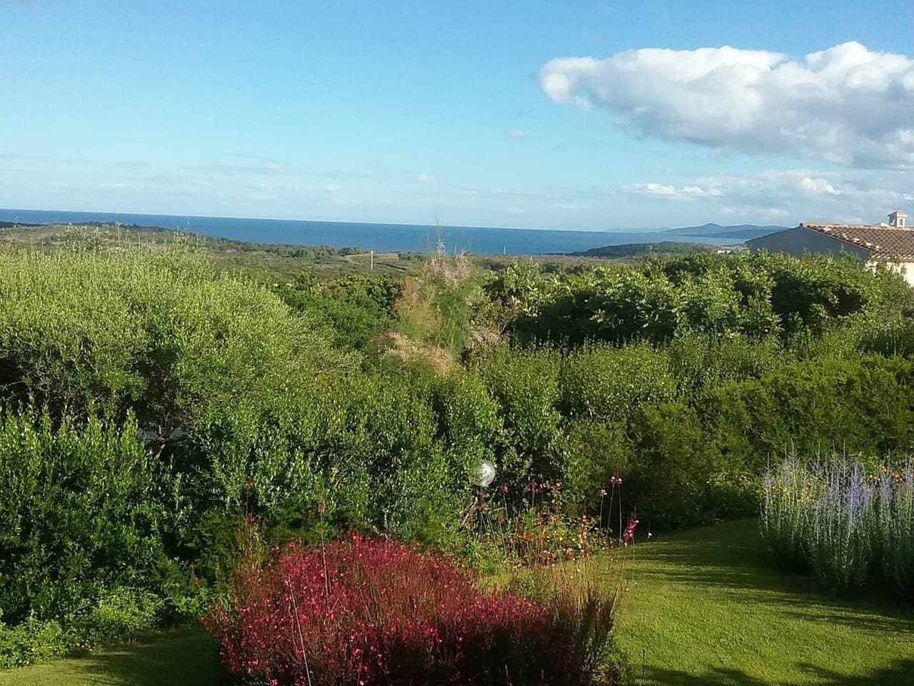 Foto 6 von 38: Villa Lilly 2